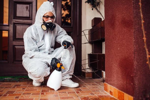 Reliable Wasp Removal contractor in Velva, ND by Show Me Pest Control